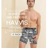 imageHAVVIS Mens Performance Underwear Boxer Briefs Soft Comfortable Bamboo Viscose Underwear for Men MultipackBoxer Briefs  B06  6 Pack